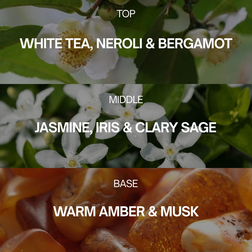 White Tea - Inspired By Ritz-Carlton